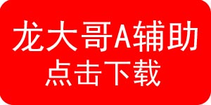 龙大哥A辅助.jpg